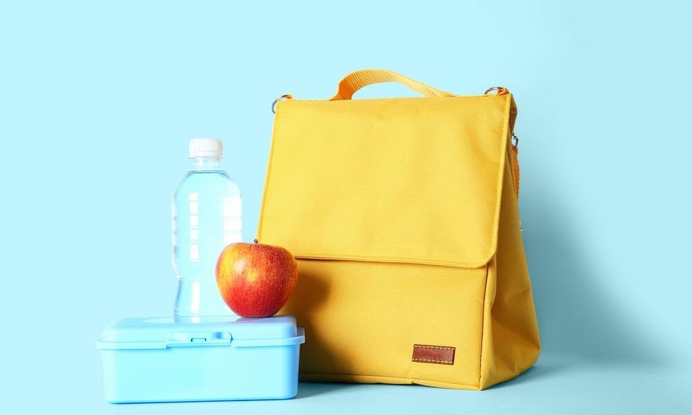 back-to-school-must-haves-11-essential-fall-inspired-lunch-items